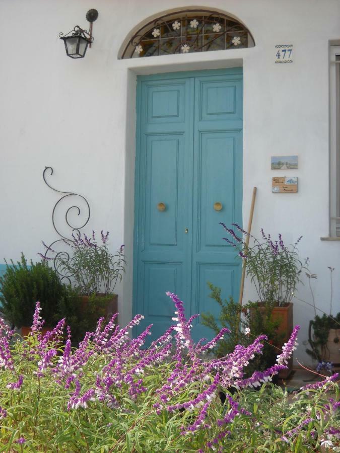Bed and Breakfast Giardino Della Moscatella à Altamura Extérieur photo